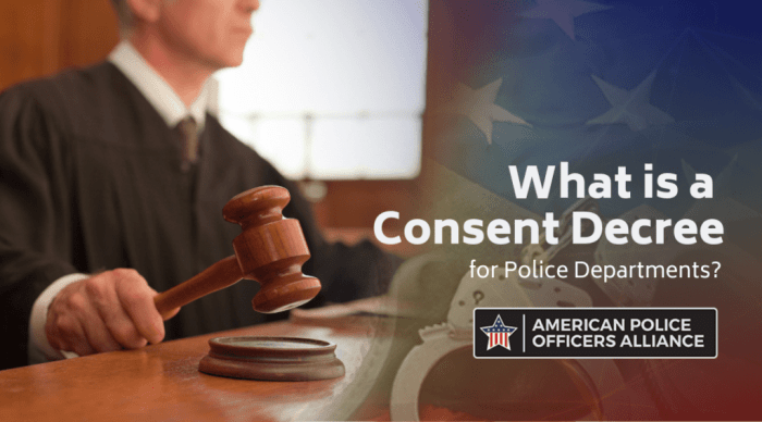 What is the meta consent decree