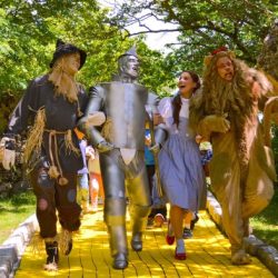 The wizard of oz farmhand