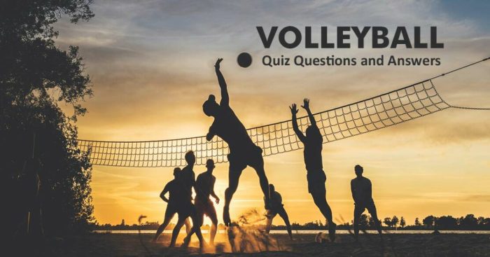 Volleyball quiz resource cards kb ppt