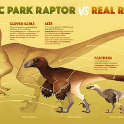 Model versus real life quick check