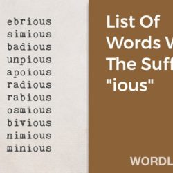 Words with the suffix ious