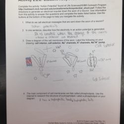 Hbs 2.4 2 student response sheet