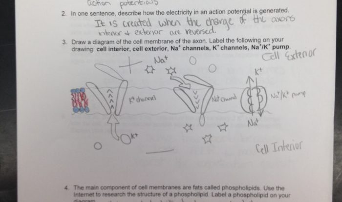 Hbs 2.4 2 student response sheet