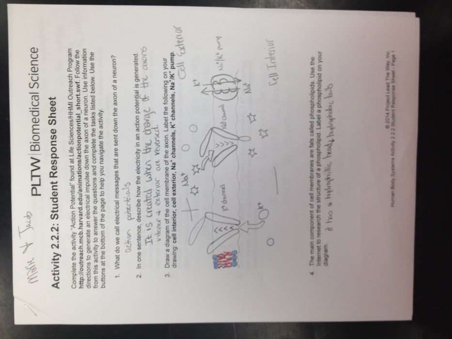 Hbs 2.4 2 student response sheet