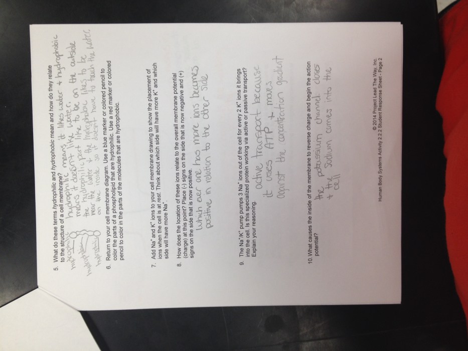 Hbs 2.4 2 student response sheet