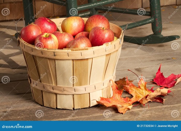 Price of a bushel of apples