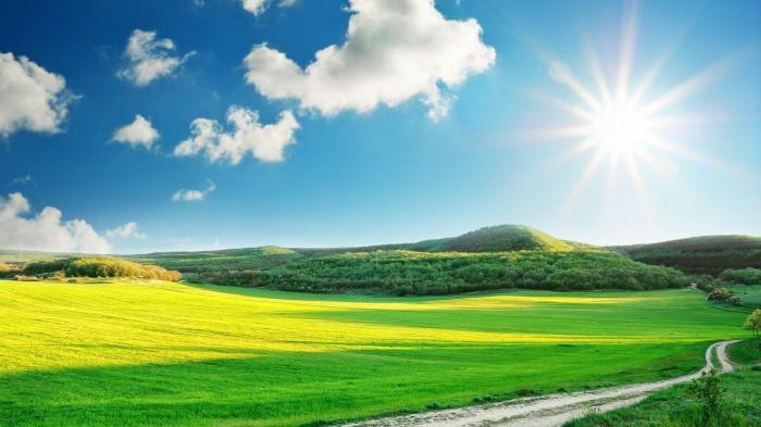 Sunny wallpaper wallpapers beautiful