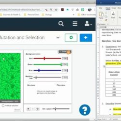 Student exploration natural selection answer key free