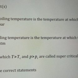 Select the correct statement s about fungal life cycles