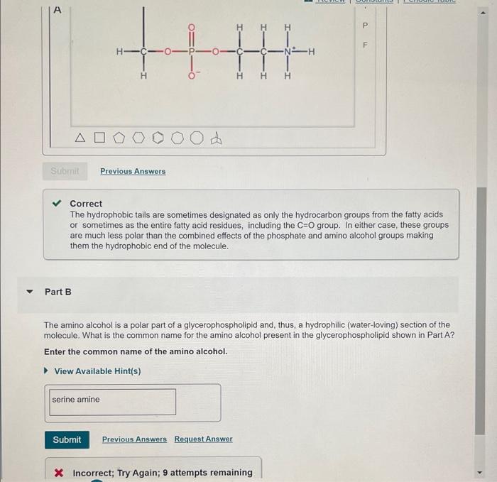 Membrane diagram cell labeled object small branched part question answer shown below bilayer phospholipid