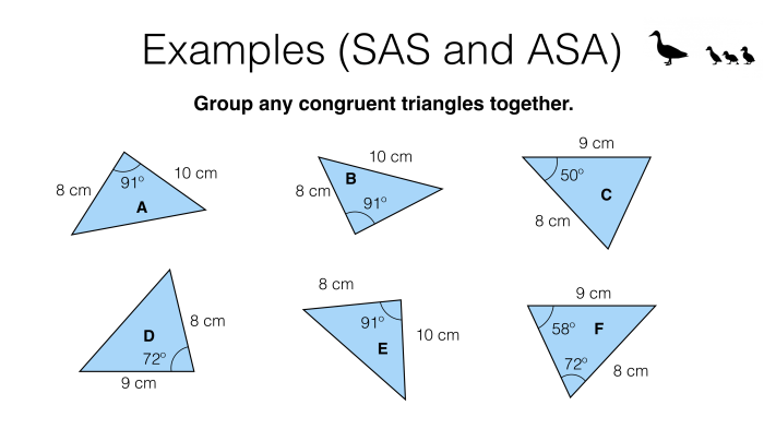 Triangle congruence sss and sas worksheet answers