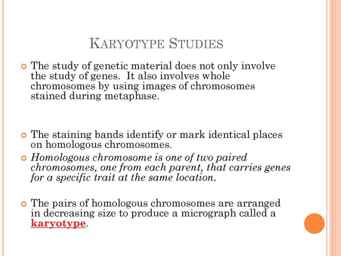 Chapter 11 section 3 chromosomes and human heredity