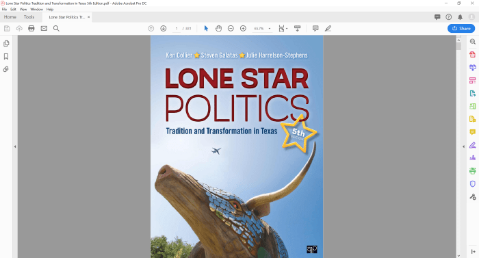 Lone star politics tradition and transformation in texas 7th edition